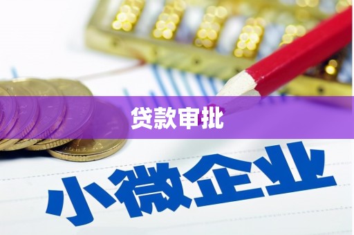 措勤贷款审批