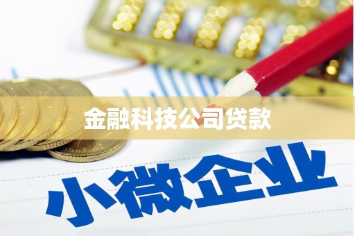陆川金融科技公司贷款