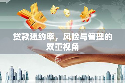 太子河贷款违约率，风险与管理的双重视角