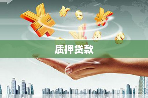 正阳质押贷款