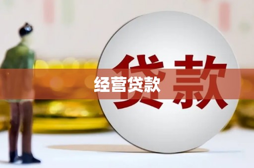 员林经营贷款