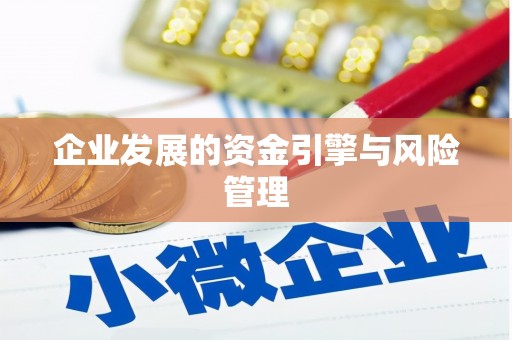 固阳企业发展的资金引擎与风险管理