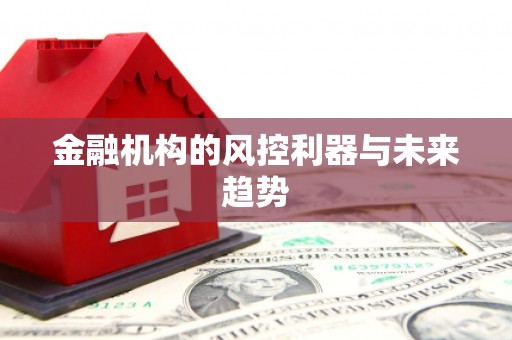 钦州金融机构的风控利器与未来趋势