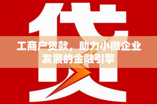 大洼工商户贷款，助力小微企业发展的金融引擎