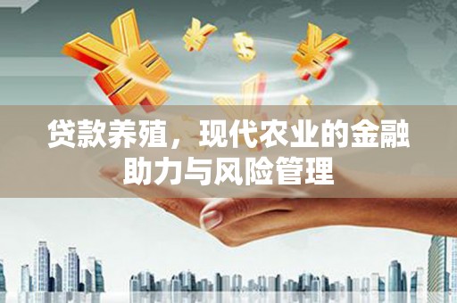 南安贷款养殖，现代农业的金融助力与风险管理