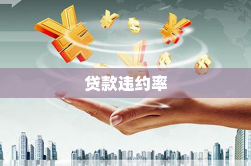 山阳贷款违约率