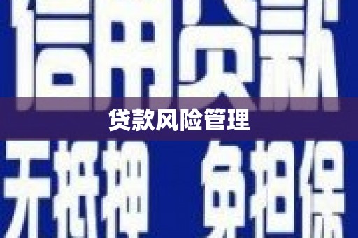 高要贷款风险管理