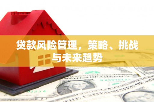槐荫贷款风险管理，策略、挑战与未来趋势