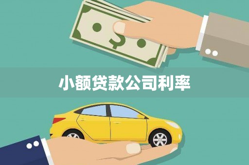 越城小额贷款公司利率