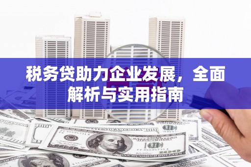 万全税务贷助力企业发展，全面解析与实用指南