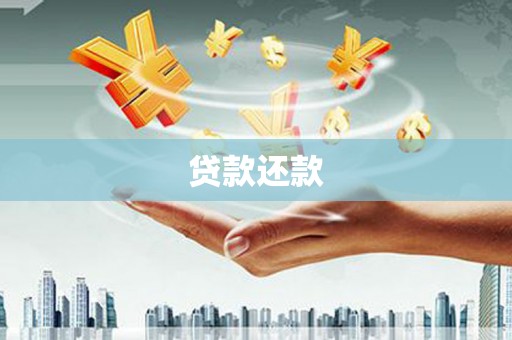 林西贷款还款