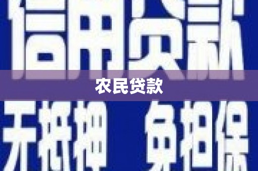 崇左农民贷款