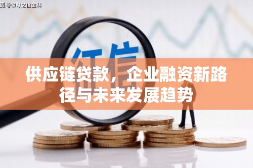 肥乡供应链贷款，企业融资新路径与未来发展趋势