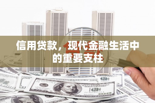 文安信用贷款，现代金融生活中的重要支柱