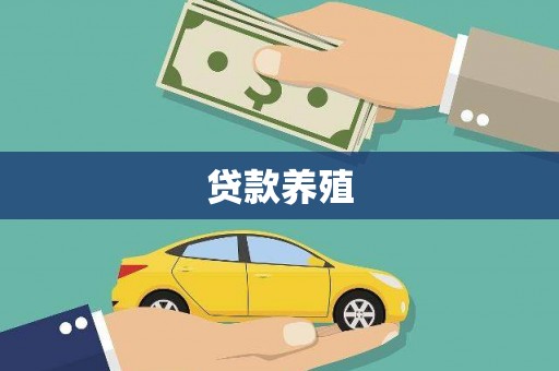 隆阳贷款养殖