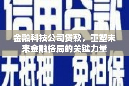沙湾金融科技公司贷款，重塑未来金融格局的关键力量