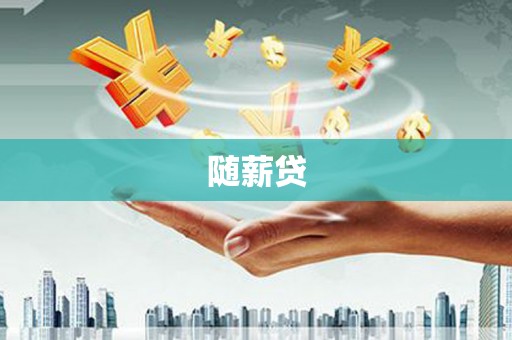 大洼随薪贷