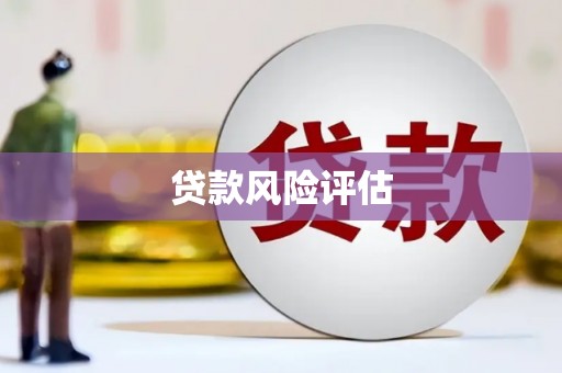 保德贷款风险评估