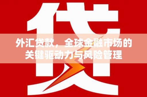 岳塘外汇贷款，全球金融市场的关键驱动力与风险管理