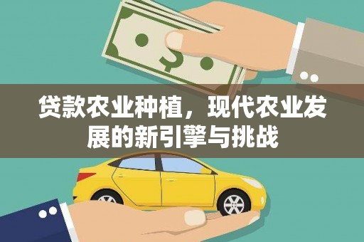 南化贷款农业种植，现代农业发展的新引擎与挑战