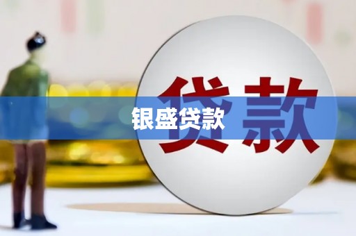 天津银盛贷款