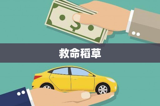 锡林浩特救命稻草