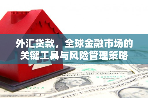 东明外汇贷款，全球金融市场的关键工具与风险管理策略