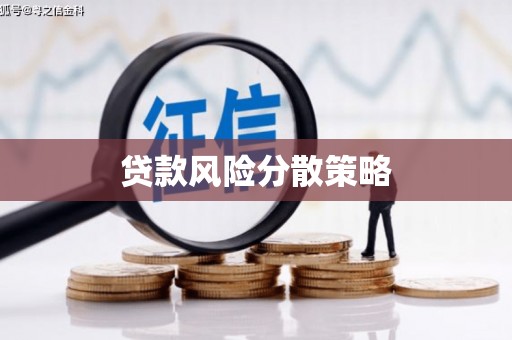 大里贷款风险分散策略