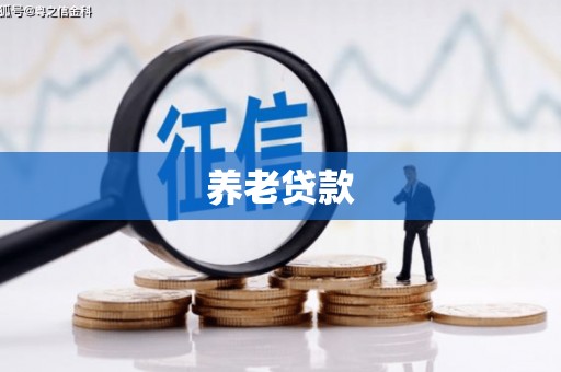 虎林养老贷款