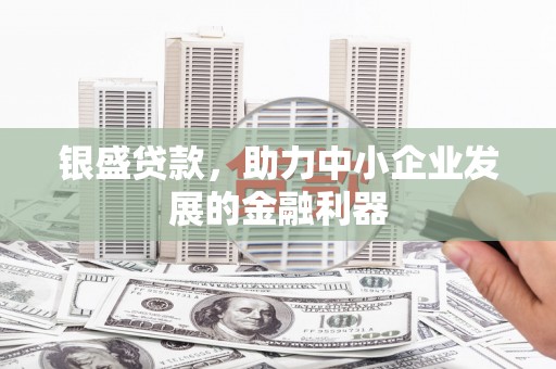 哈尔滨银盛贷款，助力中小企业发展的金融利器