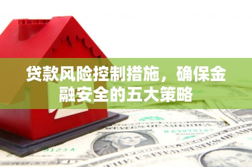 新蔡贷款风险控制措施，确保金融安全的五大策略
