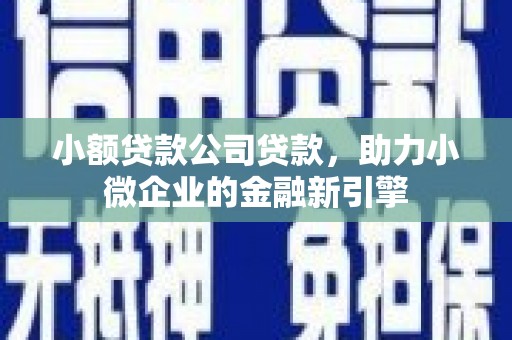 潢川小额贷款公司贷款，助力小微企业的金融新引擎