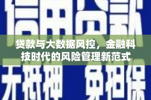 田尾贷款与大数据风控，金融科技时代的风险管理新范式