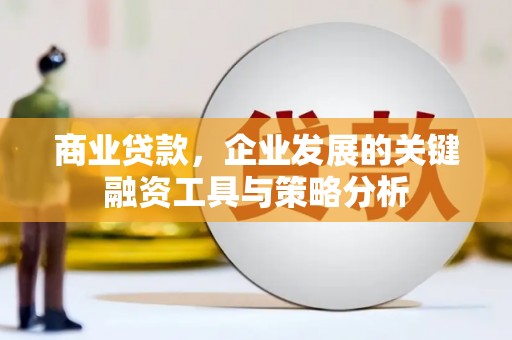 龙岗商业贷款，企业发展的关键融资工具与策略分析