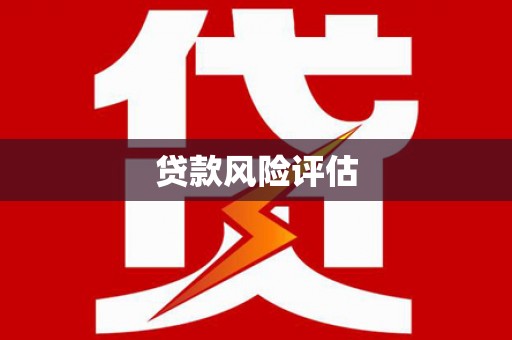 洋县贷款风险评估