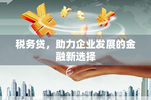 通霄税务贷，助力企业发展的金融新选择