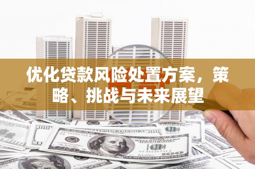 昌乐优化贷款风险处置方案，策略、挑战与未来展望