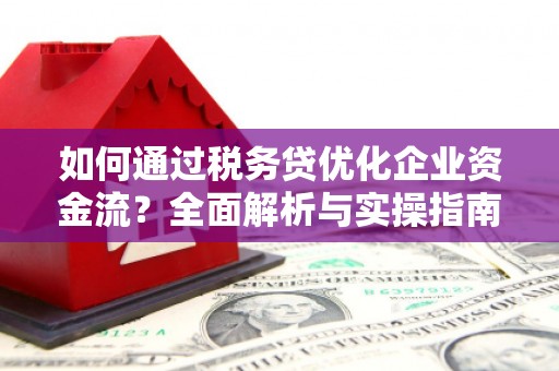 林甸如何通过税务贷优化企业资金流？全面解析与实操指南