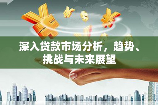 嘉黎深入贷款市场分析，趋势、挑战与未来展望