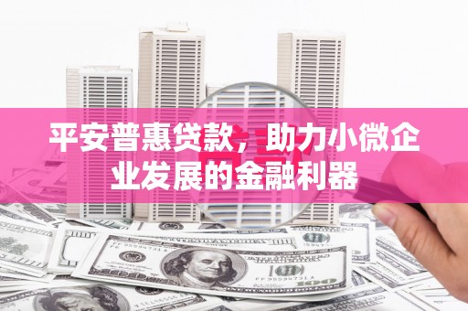 沙依巴克平安普惠贷款，助力小微企业发展的金融利器