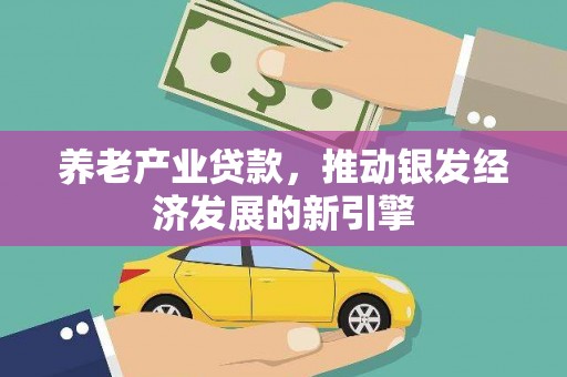 分宜养老产业贷款，推动银发经济发展的新引擎