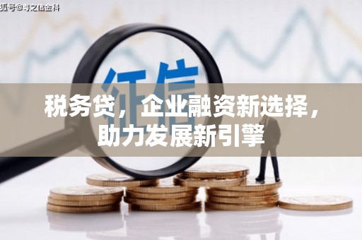 隆昌税务贷，企业融资新选择，助力发展新引擎