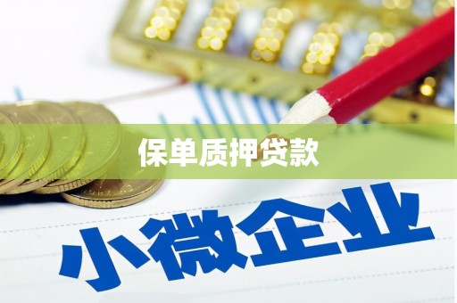 员山保单质押贷款