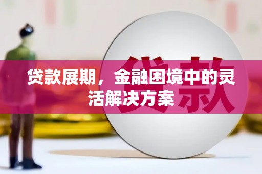平南贷款展期，金融困境中的灵活解决方案