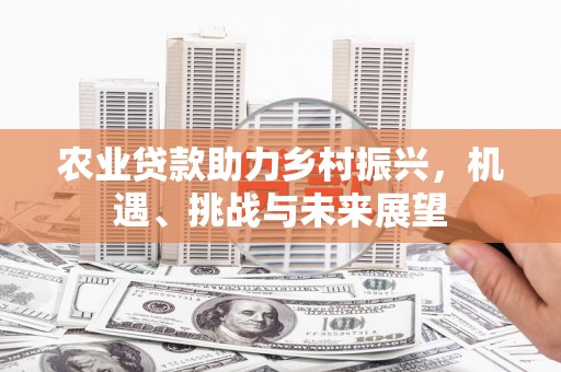 长安农业贷款助力乡村振兴，机遇、挑战与未来展望