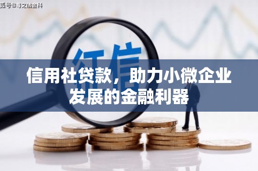 潍坊信用社贷款，助力小微企业发展的金融利器
