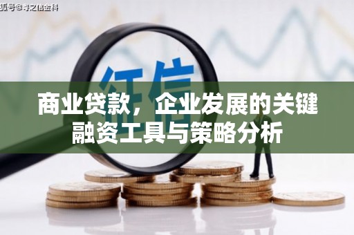 乌拉特后旗商业贷款，企业发展的关键融资工具与策略分析
