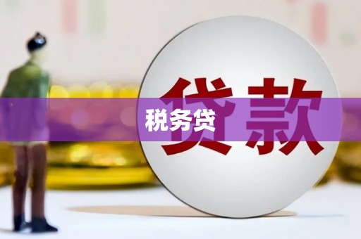 西塞山税务贷