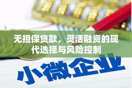 留坝无担保贷款，灵活融资的现代选择与风险控制