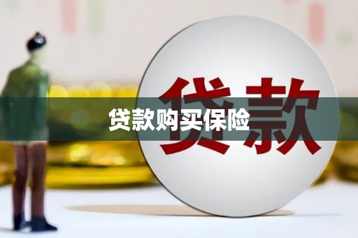 桦南贷款购买保险